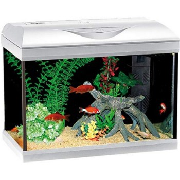 Croci amtra ενυδρείο riviera 40 led coldwater λευκό 20lt Croci amtra ενυδρείο riviera 40 led coldwater λευκό 20lt