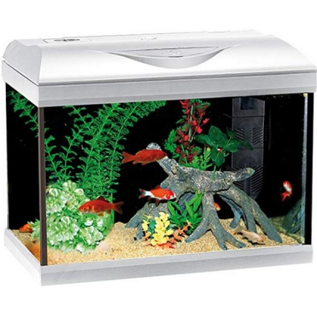 Croci amtra ενυδρείο riviera 40 led coldwater λευκό 20lt Croci amtra ενυδρείο riviera 40 led coldwater λευκό 20lt