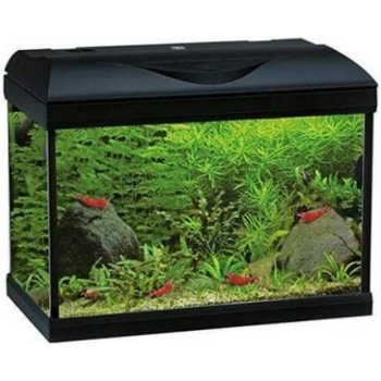 Croci amtra ενυδρείο riviera 40 led coldwater μαύρο 20lt