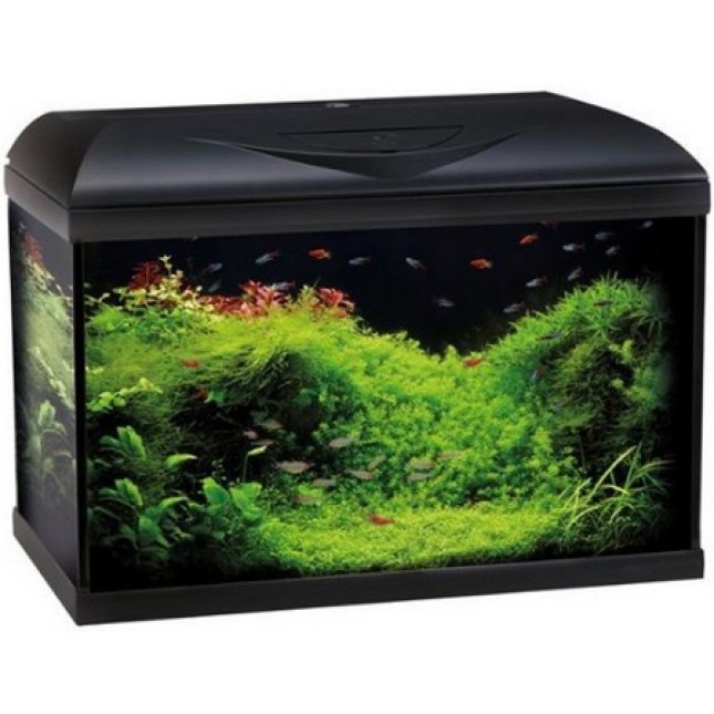 Croci amtra ενυδρείο riviera 40 led 3° series μαύρο Croci amtra ενυδρείο riviera 40 led 3° series μαύρο