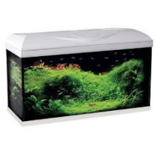 Croci amtra ενυδρείο riviera 80 led 3° series λευκό Croci amtra ενυδρείο riviera 80 led 3° series λευκό