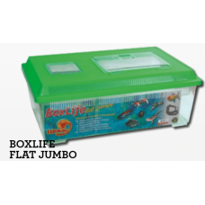 Croci wave κουτί μεταφοράς flat jumbo 45x30x17,5 cm Croci wave κουτί μεταφοράς flat jumbo 45x30x17,5 cm