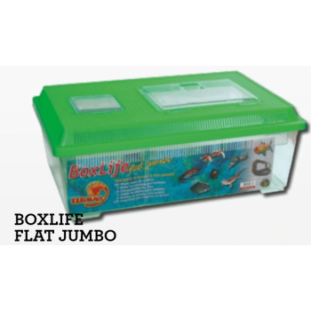 Croci wave κουτί μεταφοράς flat jumbo 45x30x17,5 cm Croci wave κουτί μεταφοράς flat jumbo 45x30x17,5 cm
