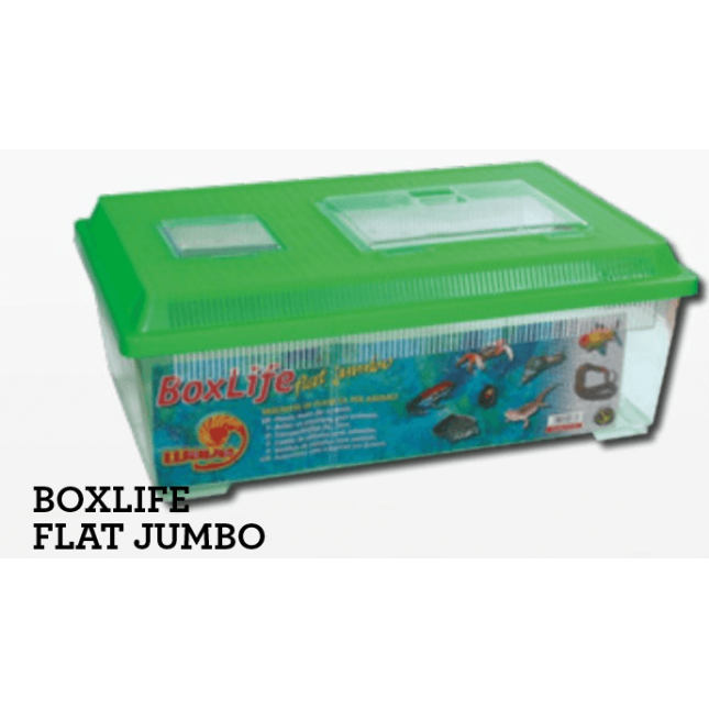 Croci wave κουτί μεταφοράς flat jumbo 45x30x17,5 cm Croci wave κουτί μεταφοράς flat jumbo 45x30x17,5 cm