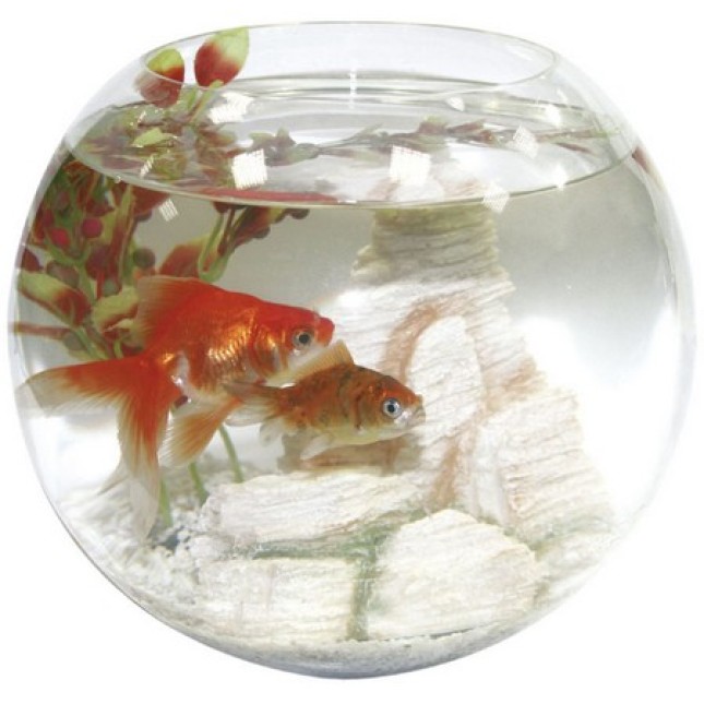 Croci amtra ενυδρείο crystal globe 25 Croci amtra ενυδρείο crystal globe 25