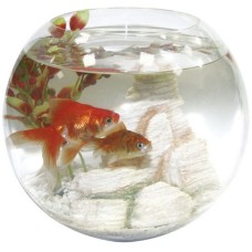 Croci amtra ενυδρείο crystal globe 30 Croci amtra ενυδρείο crystal globe 30