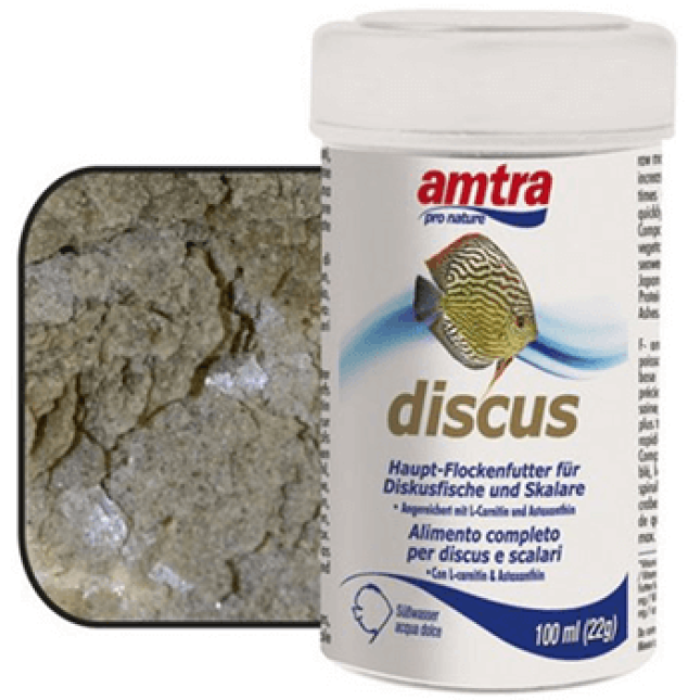 Croci amtra discus τροφή Croci amtra discus τροφή