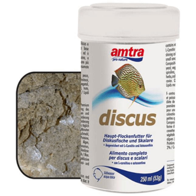 Croci amtra discus τροφή Croci amtra discus τροφή