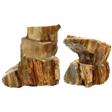 Croci amtra βράχος rock petrified s 0,5kg