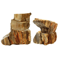 Croci amtra βράχος rock petrified m 1kg