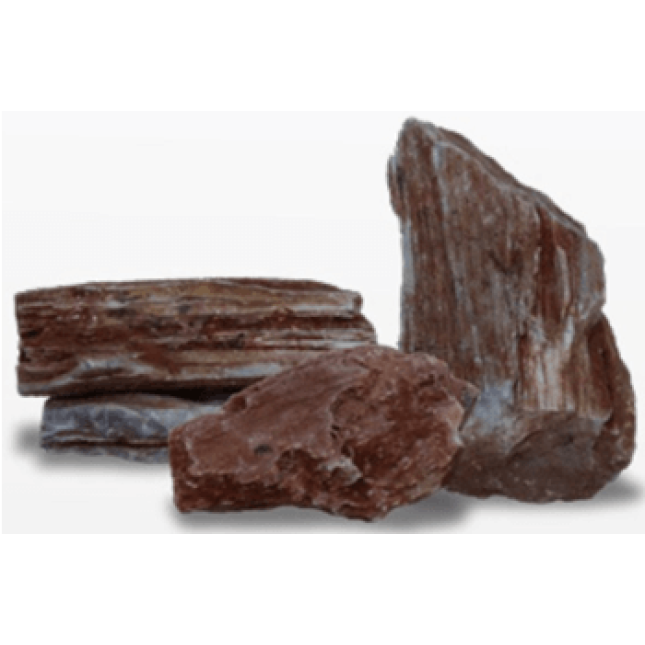 Croci amtra βράχος driftwood fossil rock s 10-20cm