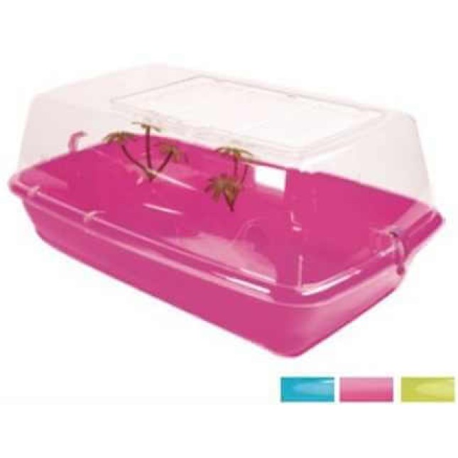 Croci turtle tank panarea χελωνιέρα Croci turtle tank panarea χελωνιέρα