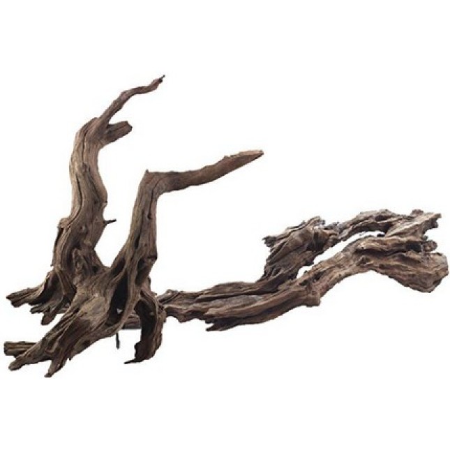 Croci amtra ikebana διακοσμητικό ξύλο 20-30cm Croci amtra ikebana διακοσμητικό ξύλο 20-30cm