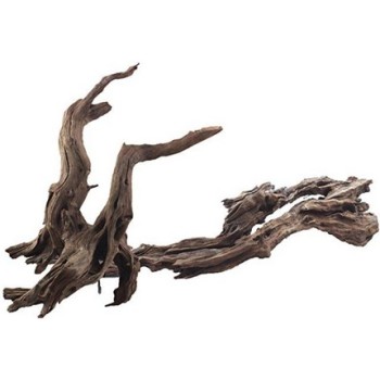 Croci amtra ikebana διακοσμητικό ξύλο 30-50cm