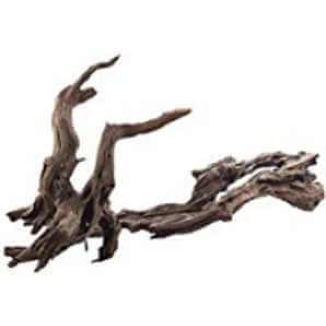 Croci amtra ikebana διακοσμητικό ξύλο Croci amtra ikebana διακοσμητικό ξύλο