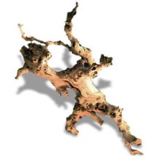 Croci amtra φυσικό ξύλο l 45-60 cm Croci amtra φυσικό ξύλο l 45-60 cm