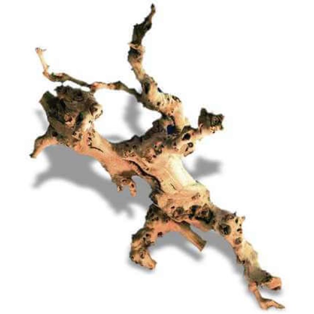 Croci amtra φυσικό ξύλο s 15-30 cm