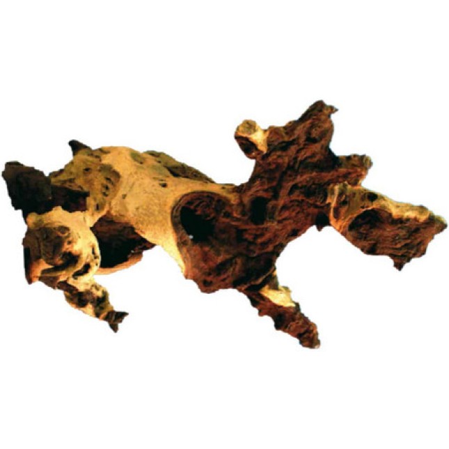 Amtra διακοσμητικό ξύλο mopani 30-45 cm Amtra διακοσμητικό ξύλο mopani 30-45 cm