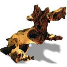 Amtra διακοσμητικό ξύλο mopani