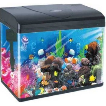 OceanMax ενυδρείο 28x18x32cm -13 lt led, φίλτρο