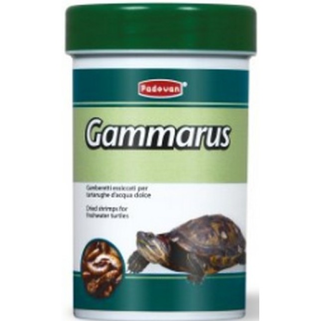 Padovan τροφή gammarus για χελώνες 100ml