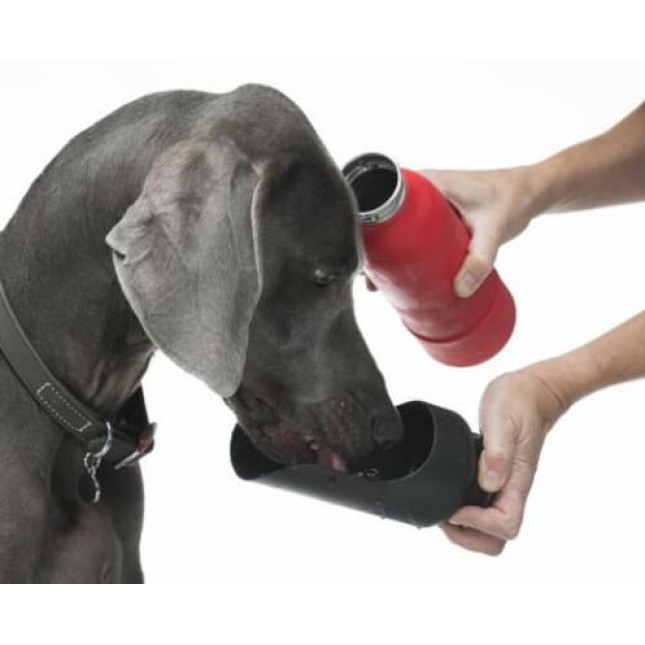 Kong h2o ανοξείδωτος θερμός 700ml Kong h2o ανοξείδωτος θερμός 700ml