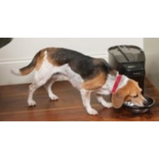 Petsafe ψηφιακός τροφοδότης ως 12 γευμάτων ημερησίως Petsafe ψηφιακός τροφοδότης ως 12 γευμάτων ημερησίως