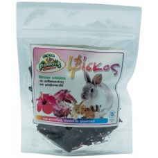 Evia parrots ιβίσκος για τρωκτικά 50gr Evia parrots ιβίσκος για τρωκτικά 50gr
