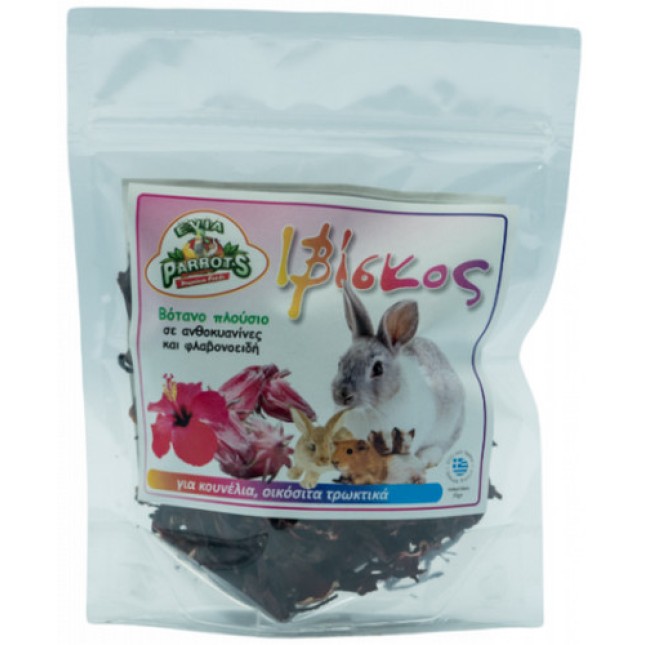 Evia parrots ιβίσκος για τρωκτικά 50gr Evia parrots ιβίσκος για τρωκτικά 50gr