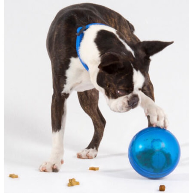 Rogz dogz παιχνίδι σκύλου Treat Tumbler μπλε 12cm Rogz dogz παιχνίδι σκύλου Treat Tumbler μπλε 12cm