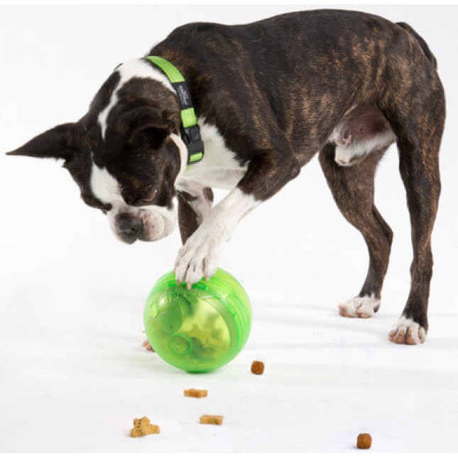 Rogz dogz παιχνίδι σκύλου Treat Tumbler πράσινο 12cm Rogz dogz παιχνίδι σκύλου Treat Tumbler πράσινο 12cm