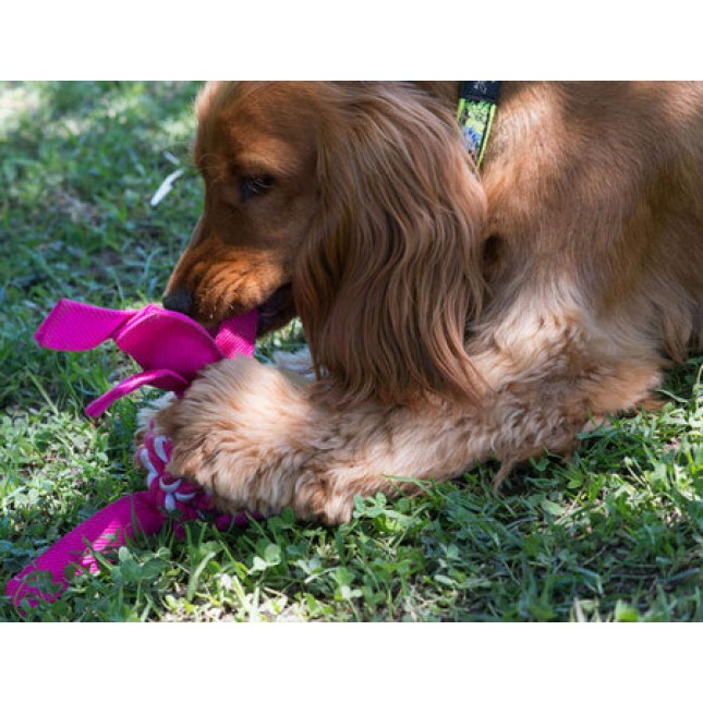 Rogz παιχνίδι σκύλου που ταυτόχρονα καθαρίζει τα δόντια από τις τροφές Cowboyz ροζ