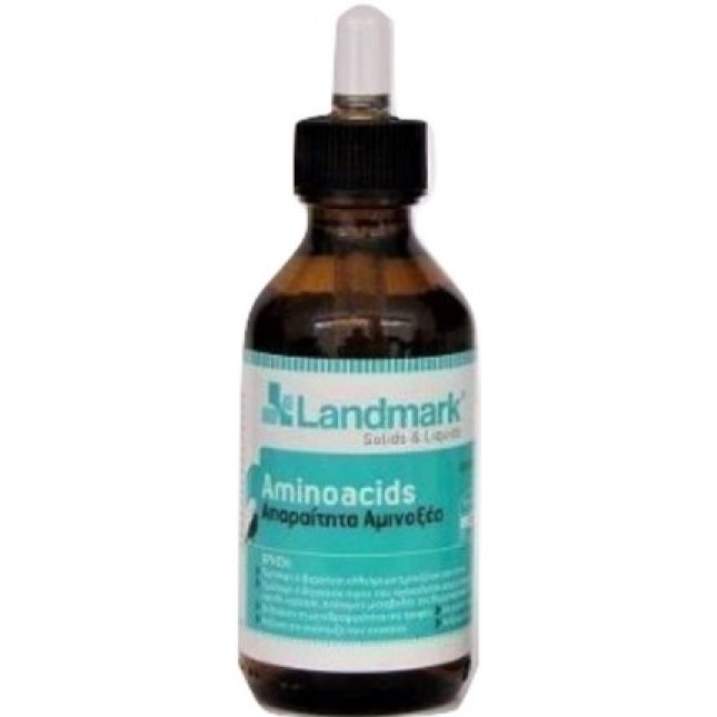 Landmark Αμινοξέα -Aminoacids 100ml Landmark Αμινοξέα -Aminoacids 100ml