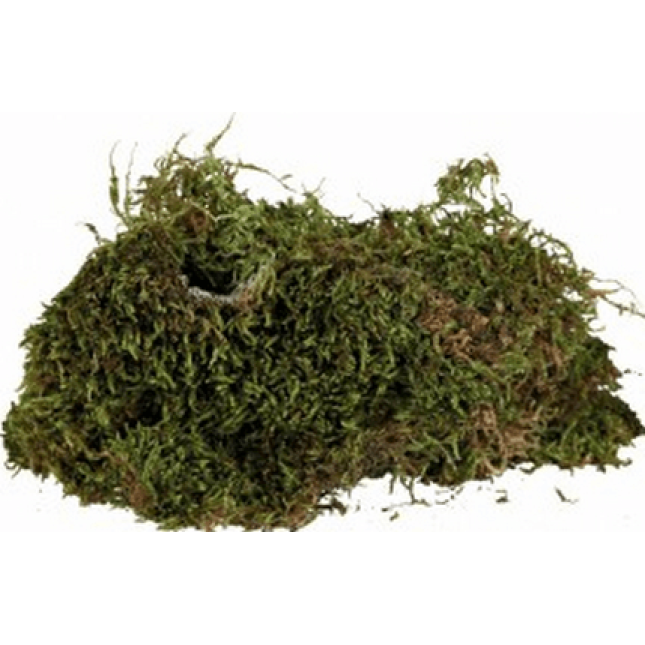 Croci υπόστρωμα zoo med terrarium moss 750gr