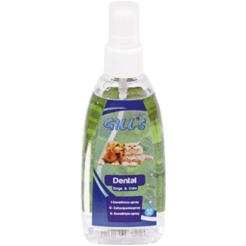 Croci Gill's dental σπρέι οδοντόκρεμας 100 ml