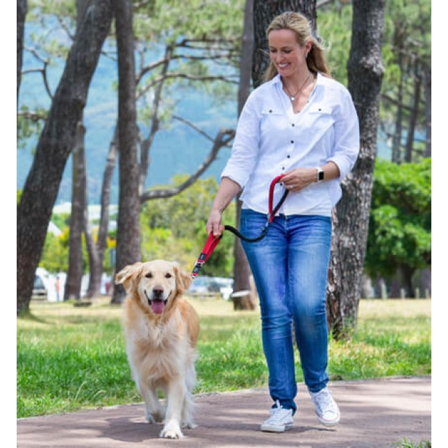 Rogz dogz οδηγός Utility control lead μαύρο medium 16mm - 1.4m Rogz dogz οδηγός Utility control lead μαύρο medium 16mm - 1.4m