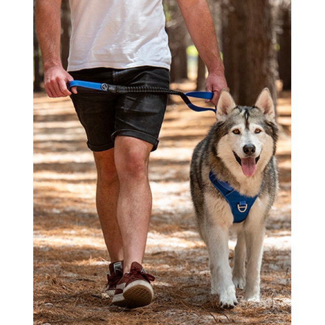 Rogz dogz οδηγός Utility control lead μαύρο medium 16mm - 1.4m Rogz dogz οδηγός Utility control lead μαύρο medium 16mm - 1.4m