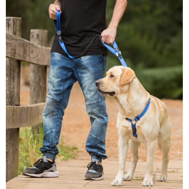 Rogz dogz οδηγός Utility control lead μπλε medium 16mm - 1.4m Rogz dogz οδηγός Utility control lead μπλε medium 16mm - 1.4m