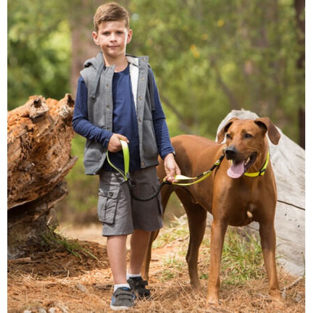 Rogz dogz οδηγός Utility control lead κίτρινο medium 16mm - 1.4m Rogz dogz οδηγός Utility control lead κίτρινο medium 16mm - 1.4m