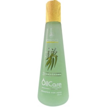 Croci Gill's σαμπουάν με έλαια ευκαλύπτου 300ml