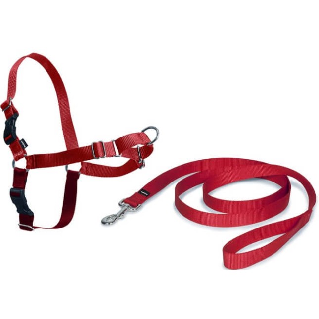 PetSafe σαμαράκι easy walk κόκκινο PetSafe σαμαράκι easy walk κόκκινο