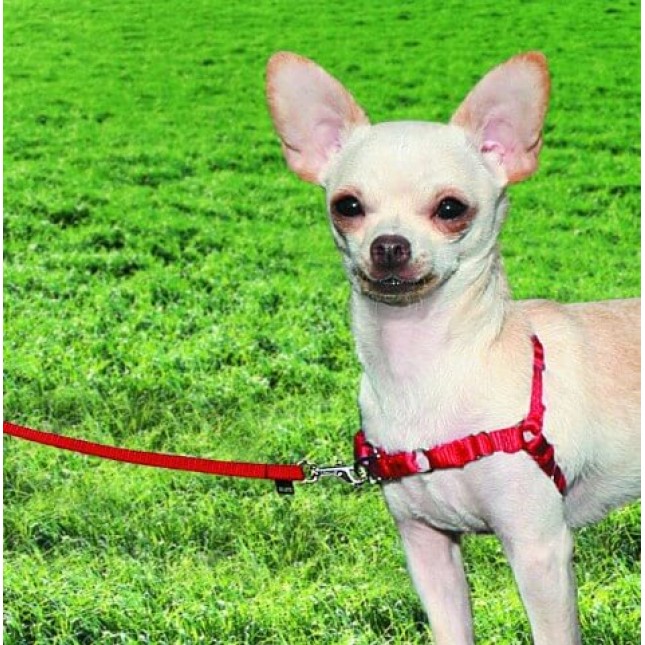 PetSafe σαμαράκι easy walk κόκκινο PetSafe σαμαράκι easy walk κόκκινο
