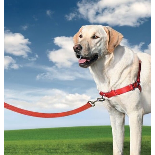 PetSafe σαμαράκι easy walk κόκκινο PetSafe σαμαράκι easy walk κόκκινο