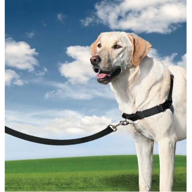 PetSafe σαμαράκι easy walk μαύρο PetSafe σαμαράκι easy walk μαύρο