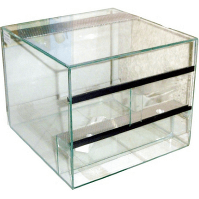 Terrarium με φως Terrarium με φως