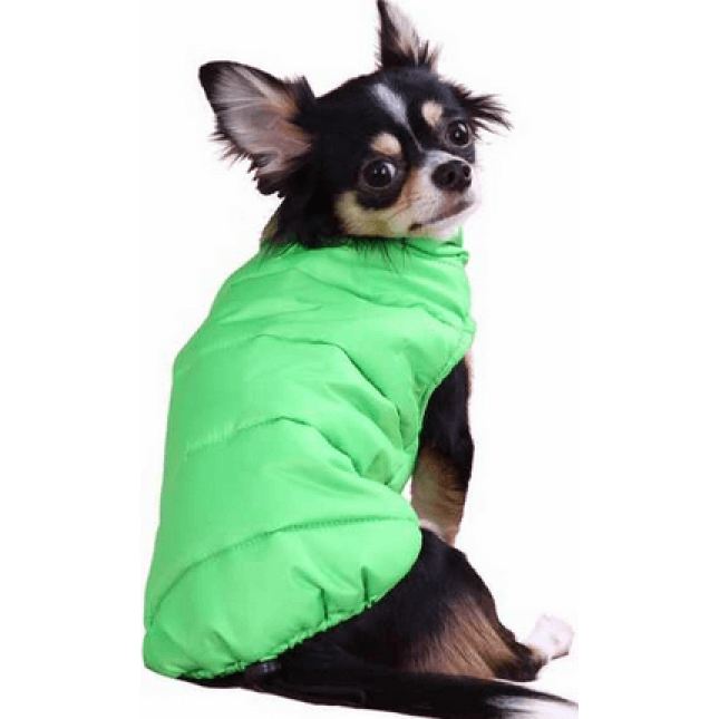 Doggy Dolly μπουφάν normal πράσινο W22 large Doggy Dolly μπουφάν normal πράσινο W22 large