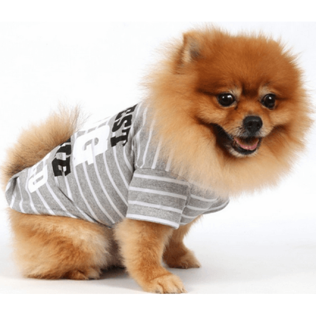 Doggy Dolly μπλούζα γκρι με στάμπα T283