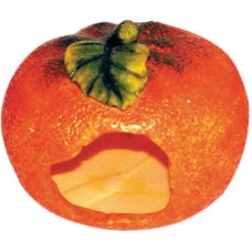 Croci Πλαστικό σπιτάκι πορτοκάλι O12cm