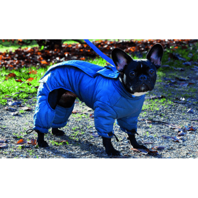 Croci αδιάβροχο hiking pad. tracksuit 55-58cm Croci αδιάβροχο hiking pad. tracksuit 55-58cm