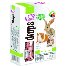Lolo pets λιχουδιές τρωκτικών forest fruit drops 75gr Lolo pets λιχουδιές τρωκτικών forest fruit drops 75gr